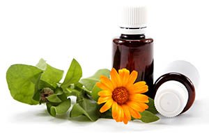 fleur de calendula et bouteille