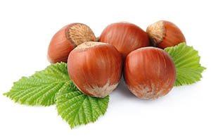 noisettes