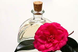 Bouteille en verre avec huile de camélia et fleur de camélia
