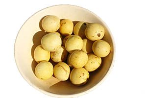 Marula fruit in a bowl