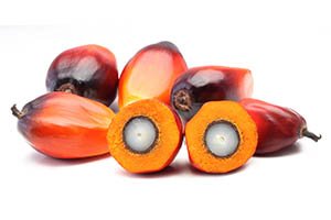 fruit de palmier rouge