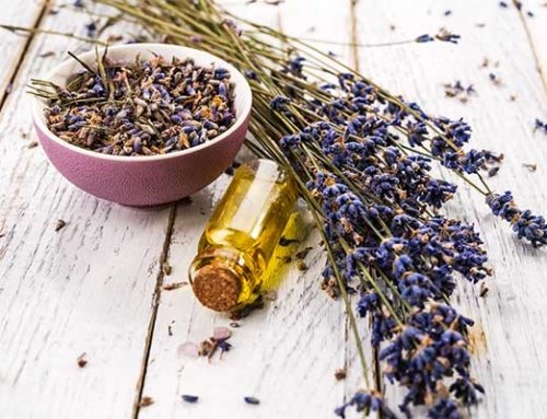 Huiles Médicinales Infusées