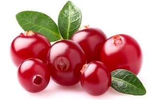 fresh cranberries