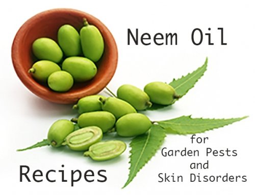Naturally Neem