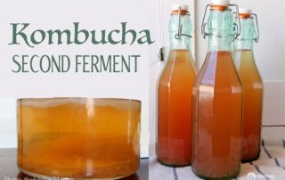 bottles of kombucha