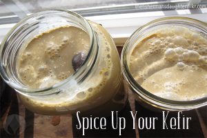 2 jars of kefir with spices