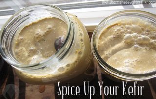 2 jars of kefir with spices