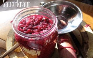 packing jar with red cabbage
