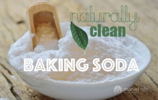 bowl of baking soda