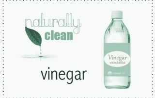 bottle of vinegar