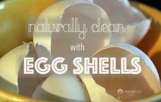 egg shells in bowl