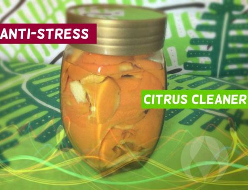 Naturally Clean: Anti-stress Citrus Cleaner