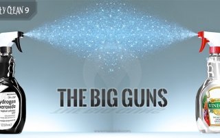 vinegar and peroxide