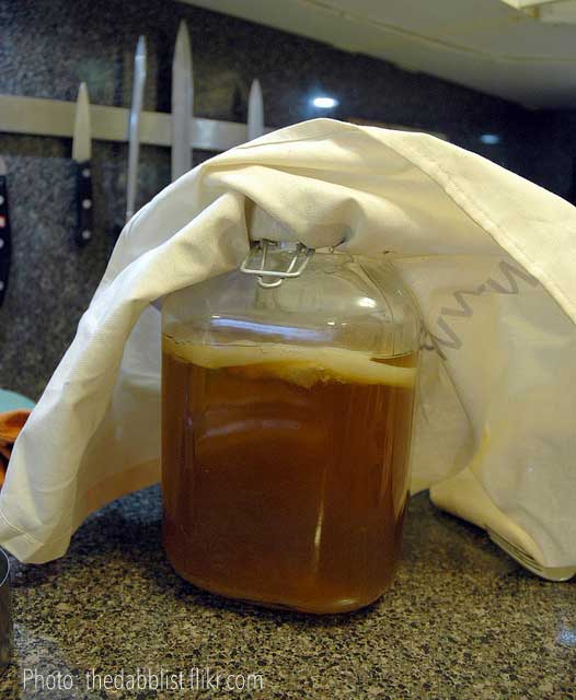 kombuchainjarcoveredbycloth Marvel Oils