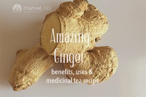 ginger root