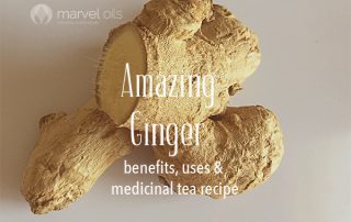 ginger root