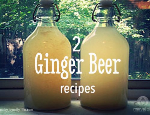 Homemade Ginger beer x2