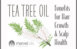 tea tree oil for hair