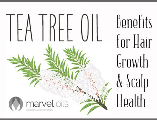 Tea Tree Oil Benefits for Hair Growth & Scalp Health