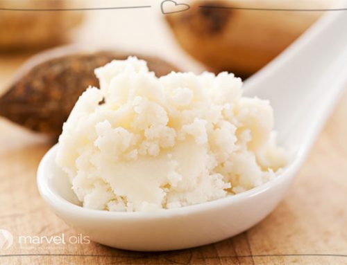 2 Tested Shea Butter Recipes for Natural Healthy Hair