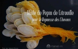 huile de pepin de citrouille