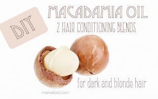 macadamia nut