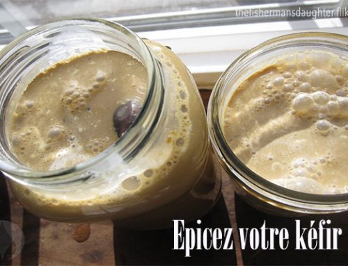 Kéfir Seconde Fermentation