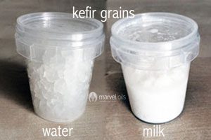 2 types kefir grains