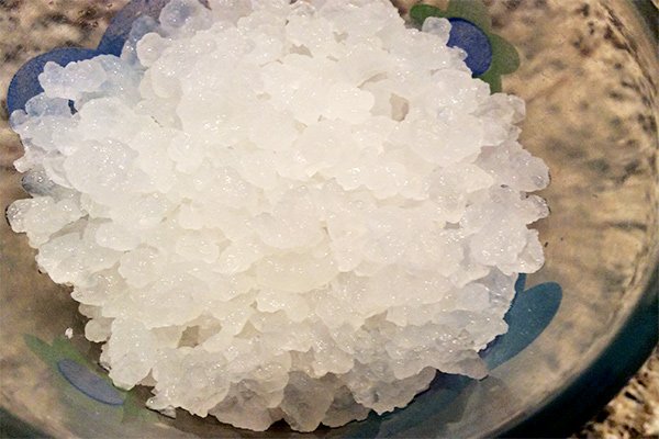 water kefir grains